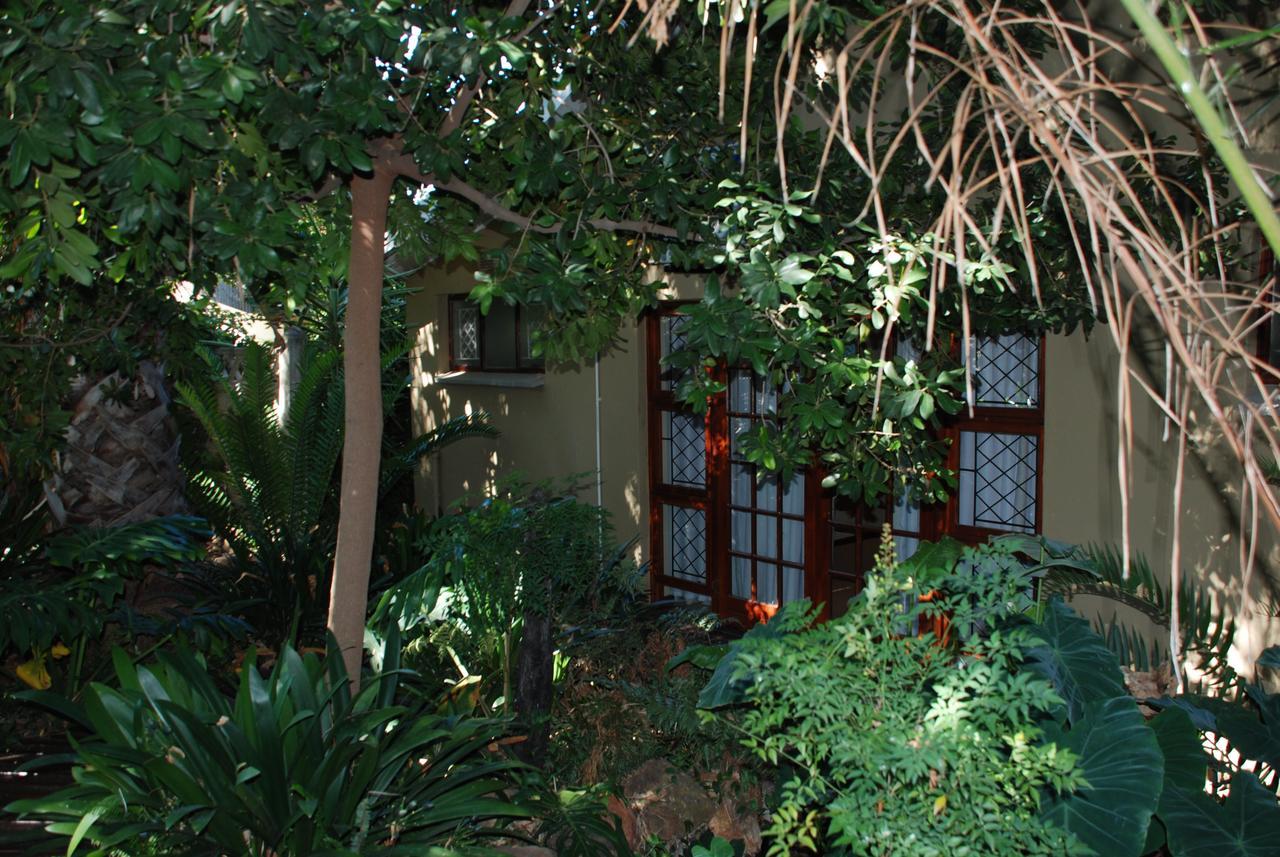 86 On Langenhoven Bed & Breakfast Oudtshoorn Extérieur photo