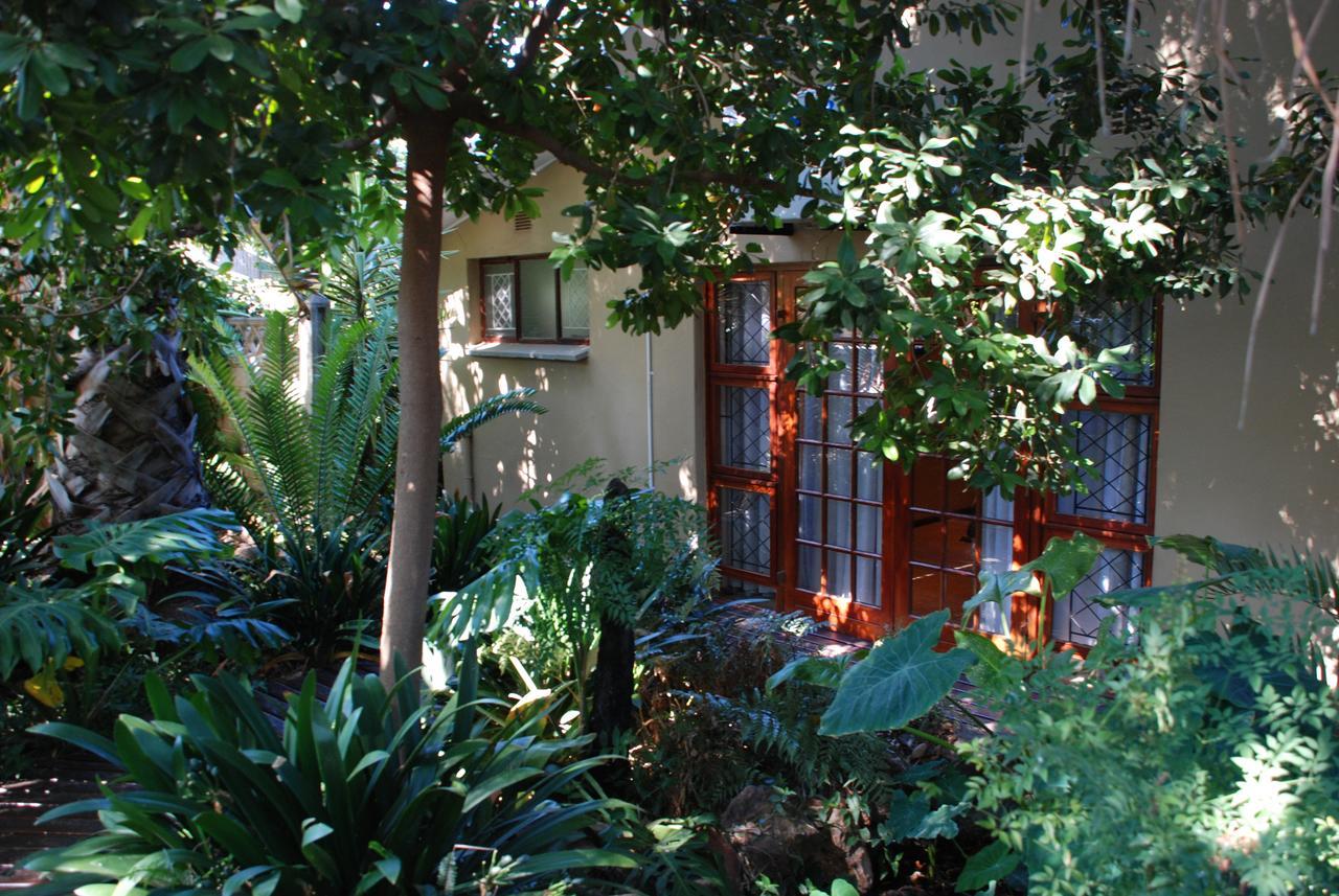 86 On Langenhoven Bed & Breakfast Oudtshoorn Extérieur photo