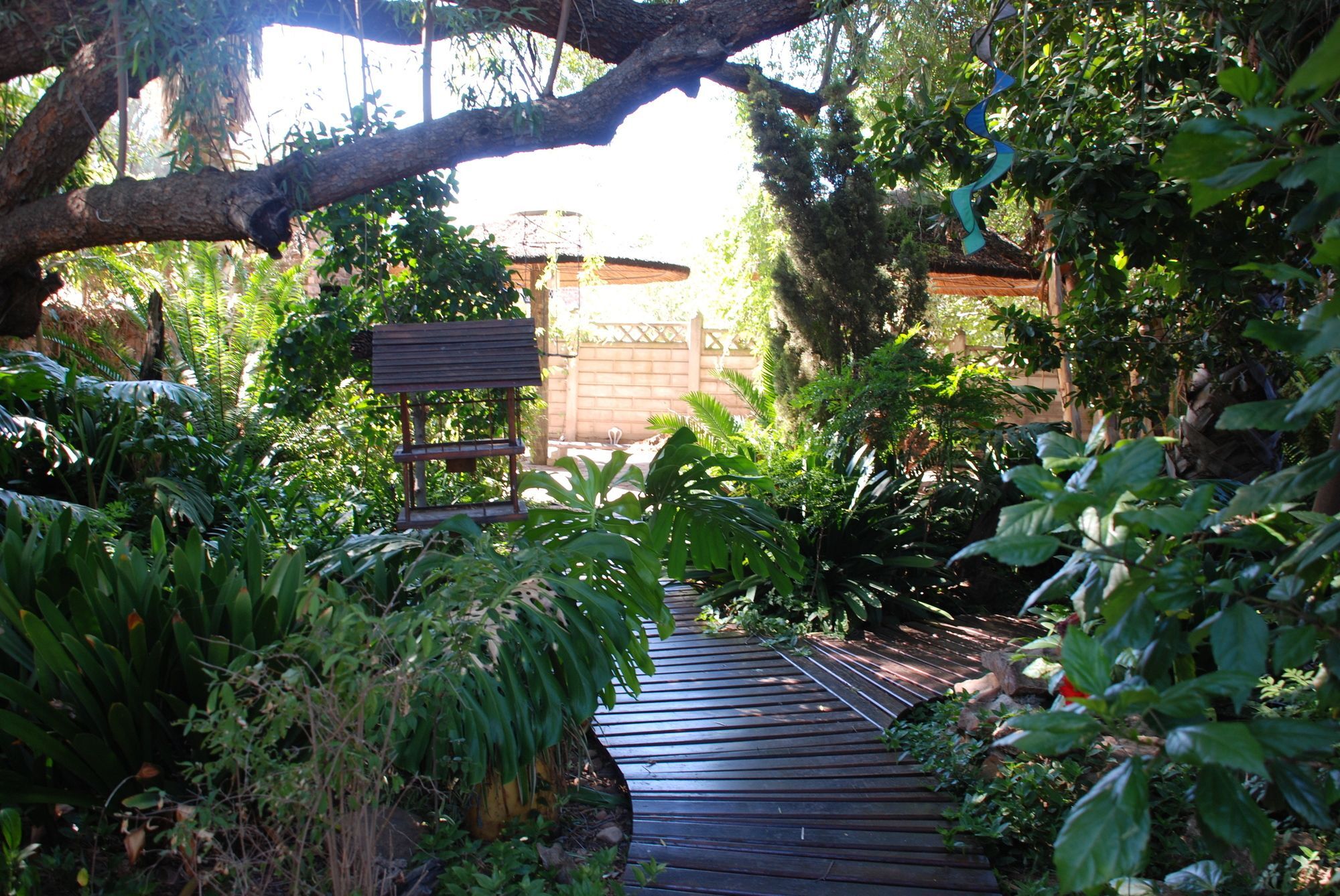 86 On Langenhoven Bed & Breakfast Oudtshoorn Extérieur photo